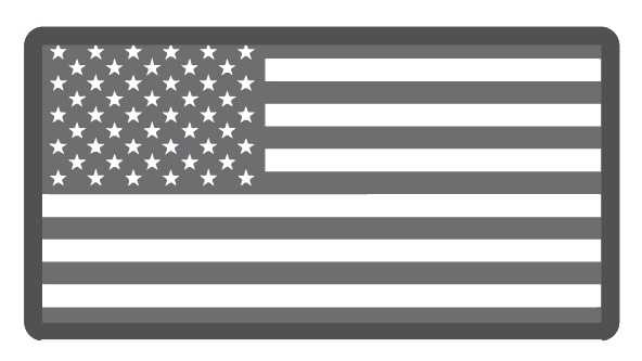 USA flag icon