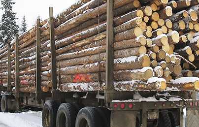 log truck and trailer in the snow