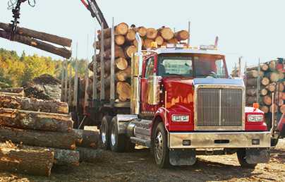 USA log truck and trailer image